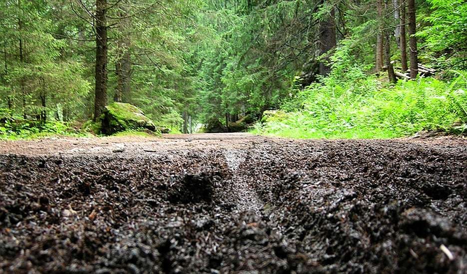 Trail damage occurs when mountain bike riders ignore conditions and ride on
              wet trails.